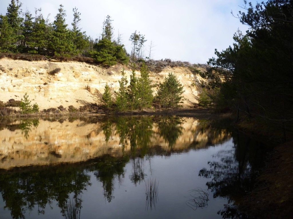 P1000959r